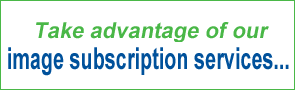 Fotolia: millions of professional photos from 14 cents